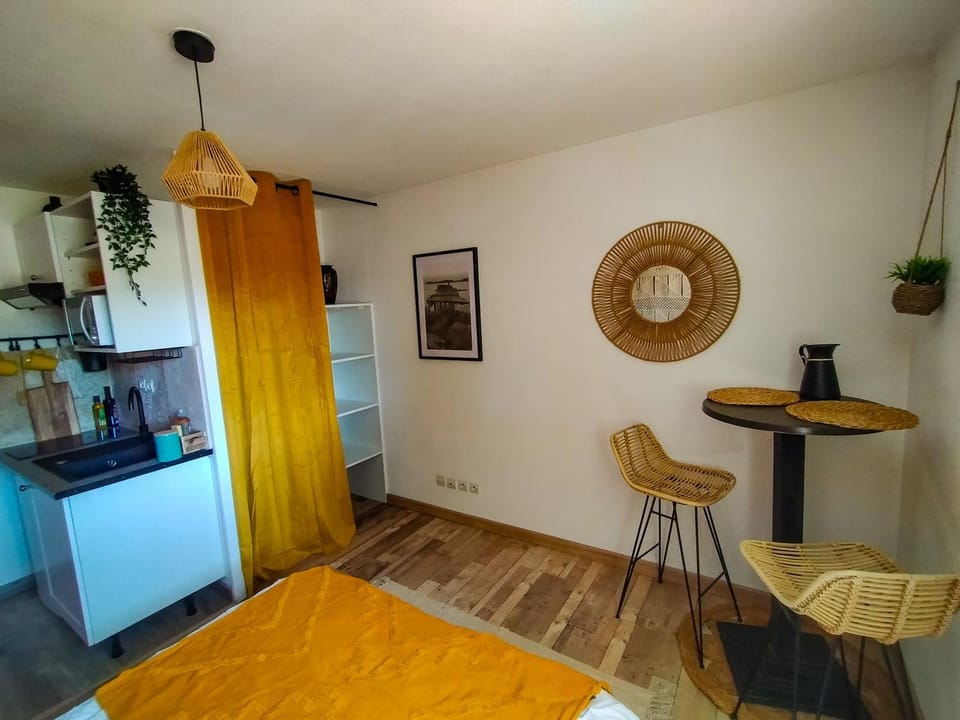 Le fringant Apartment in Avignon