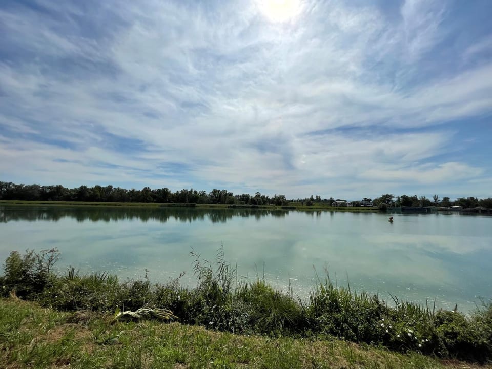 View (from property/room), River view