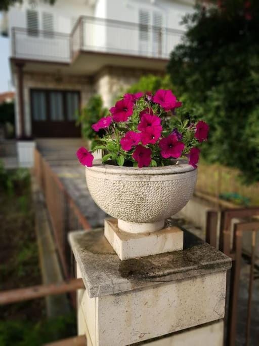 Apartman Petar Apartment in Korčula