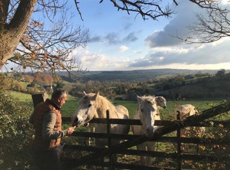 Natural landscape, Animals