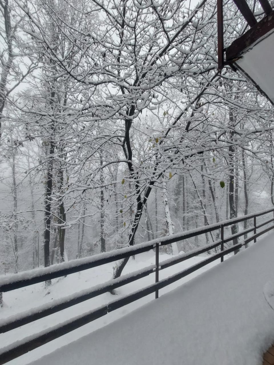 Šumski raj Lipovica House in Vojvodina