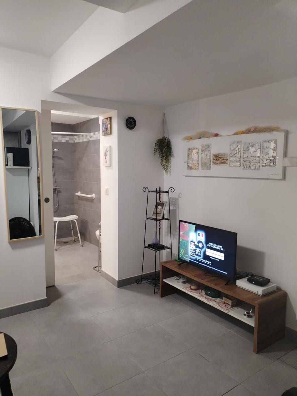 TV and multimedia