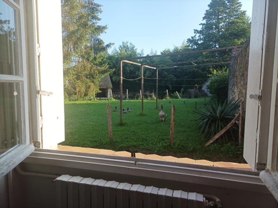 Kitchen or kitchenette, Garden view
