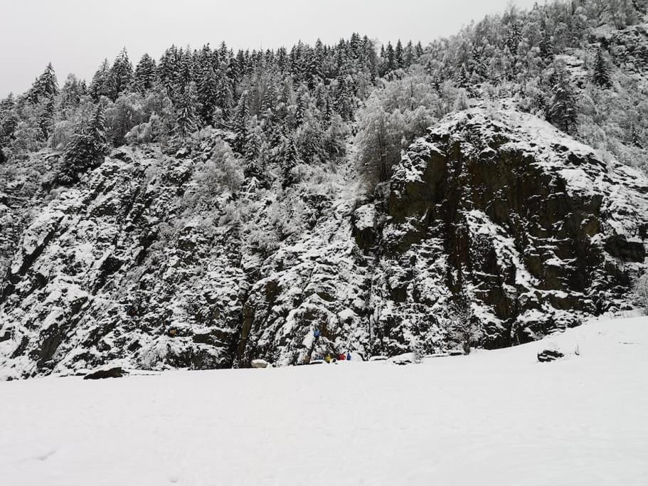 Chamonix, studio de 24 m2 Apartment in Les Houches