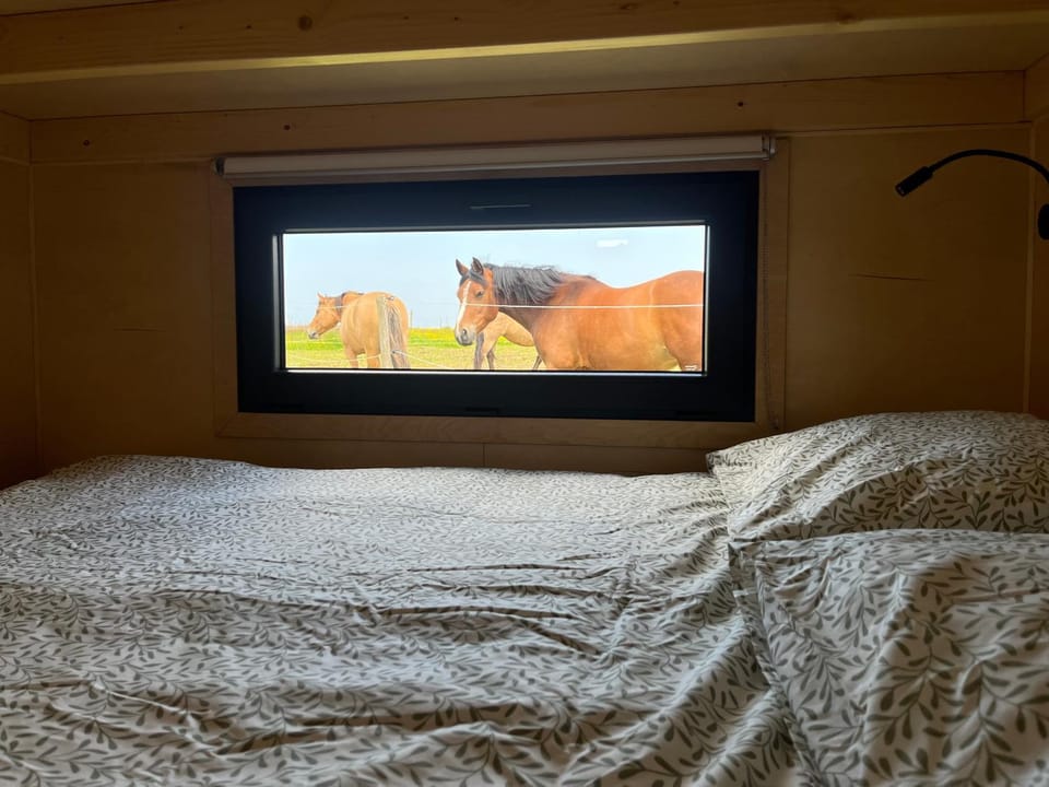 Tiny House La Cavalerie, au milieu des chevaux ! Chalet in Normandy
