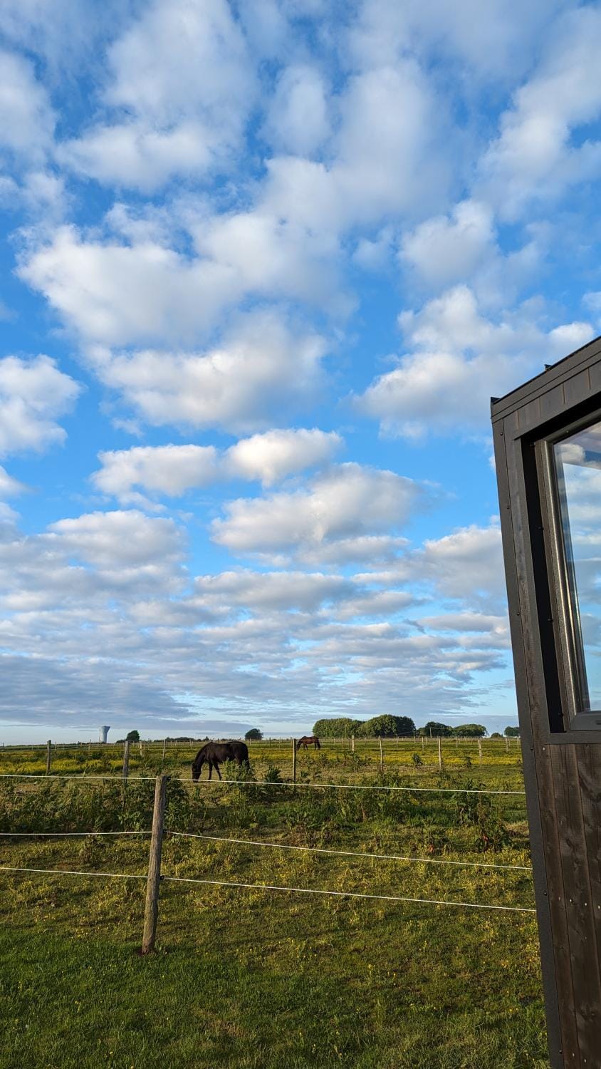 Tiny House La Cavalerie, au milieu des chevaux ! Chalet in Normandy