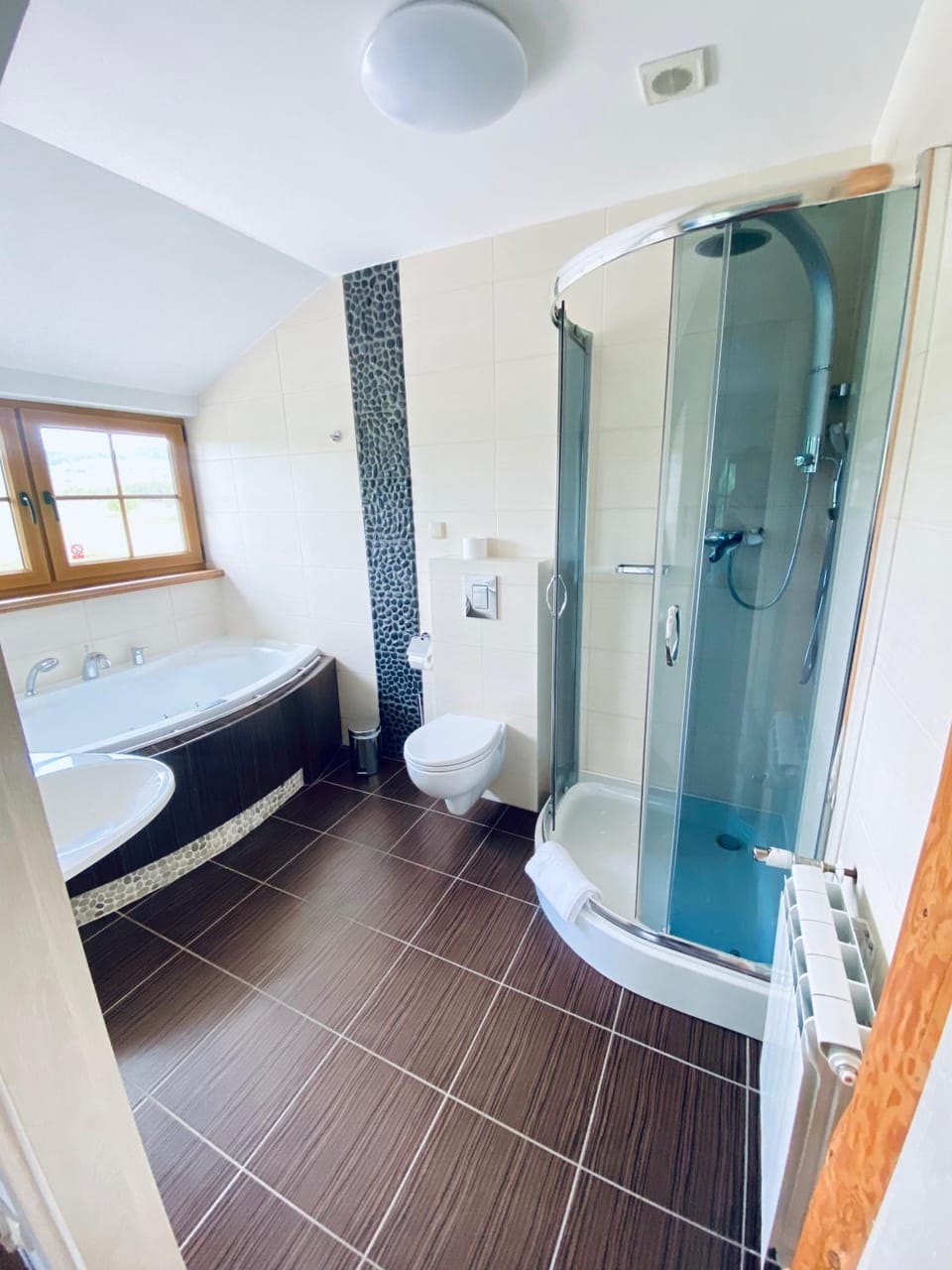 Shower, Toilet, Bathroom, Bath