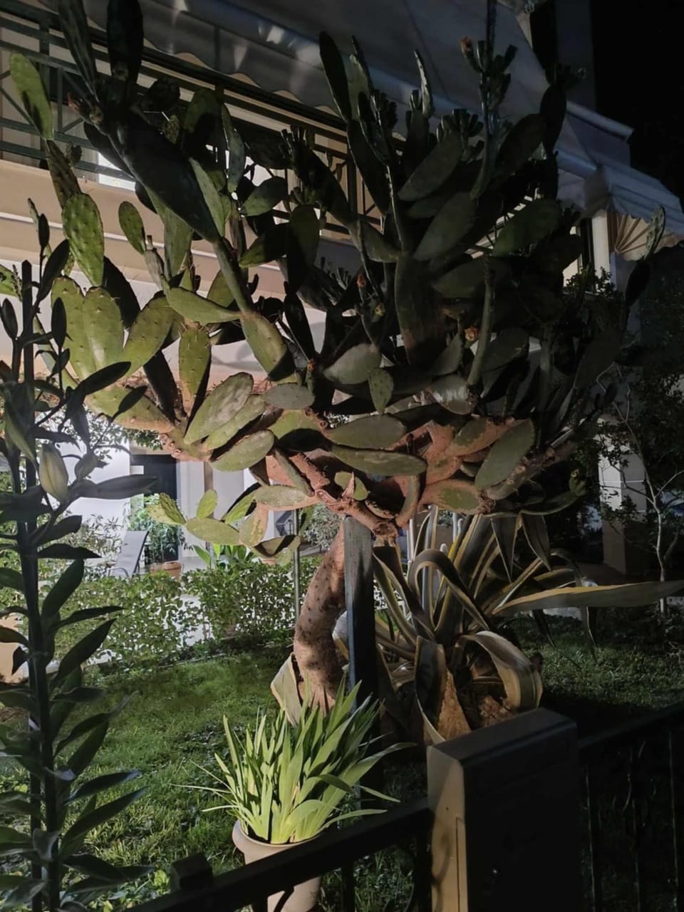 Garden, Garden view
