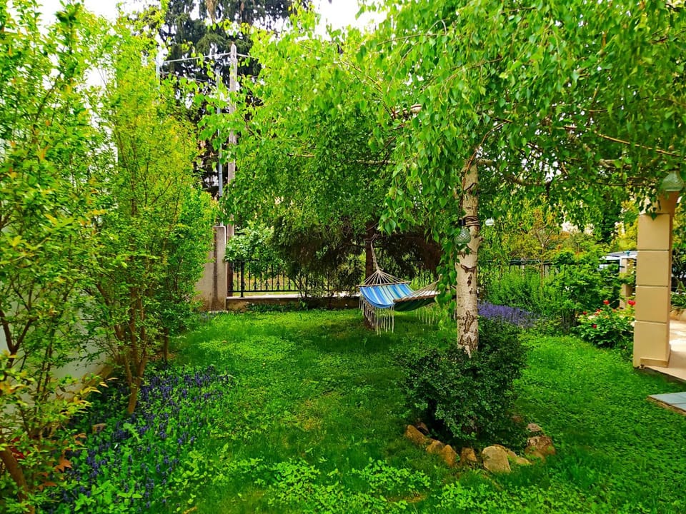 Cactus Oasis Apartment in Alexandroupoli