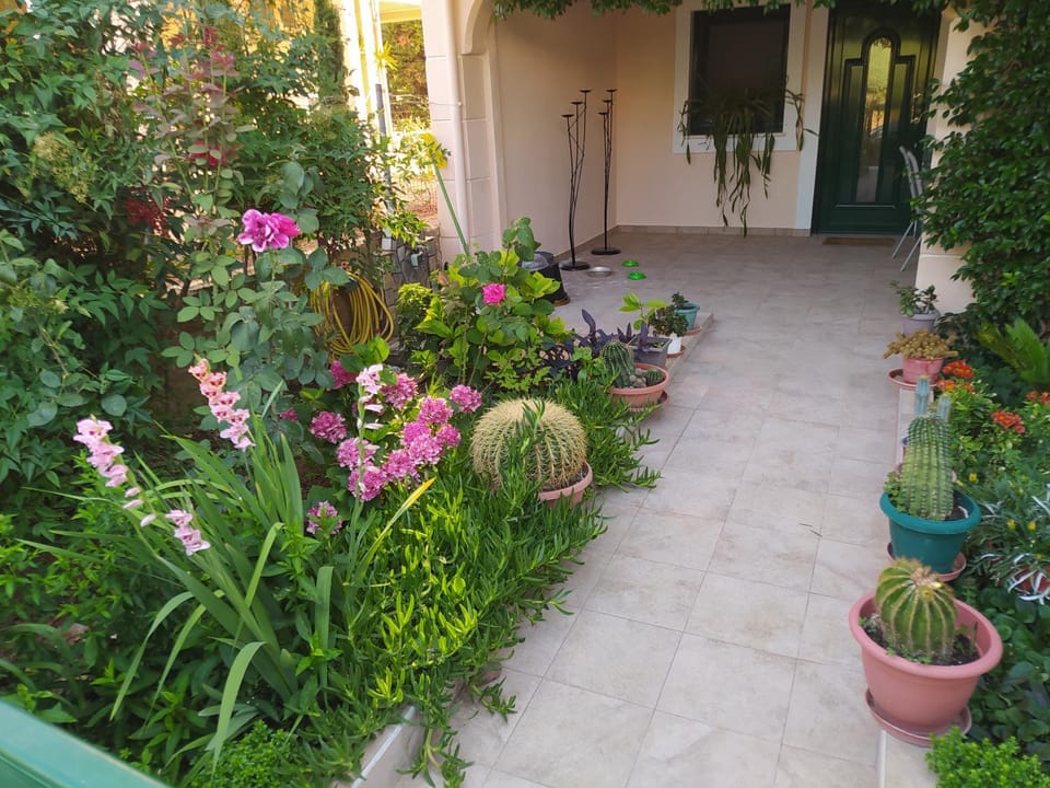 Cactus Oasis Apartment in Alexandroupoli