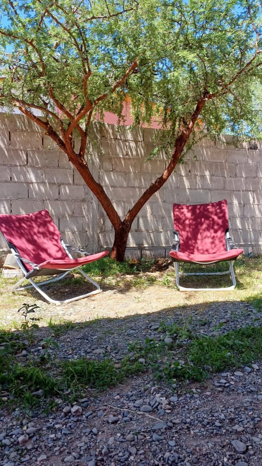Spring, Garden, Garden, Garden view