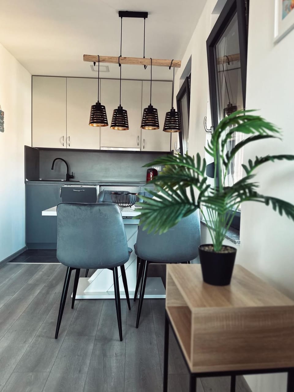 Kitchen or kitchenette, kitchen