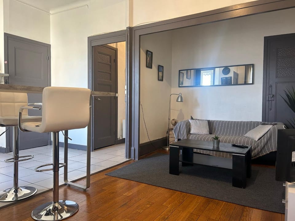 Spacieux cosy - 1 chambre Appartement - LYON Perrache Confluence 50 M2 Apartment in Lyon