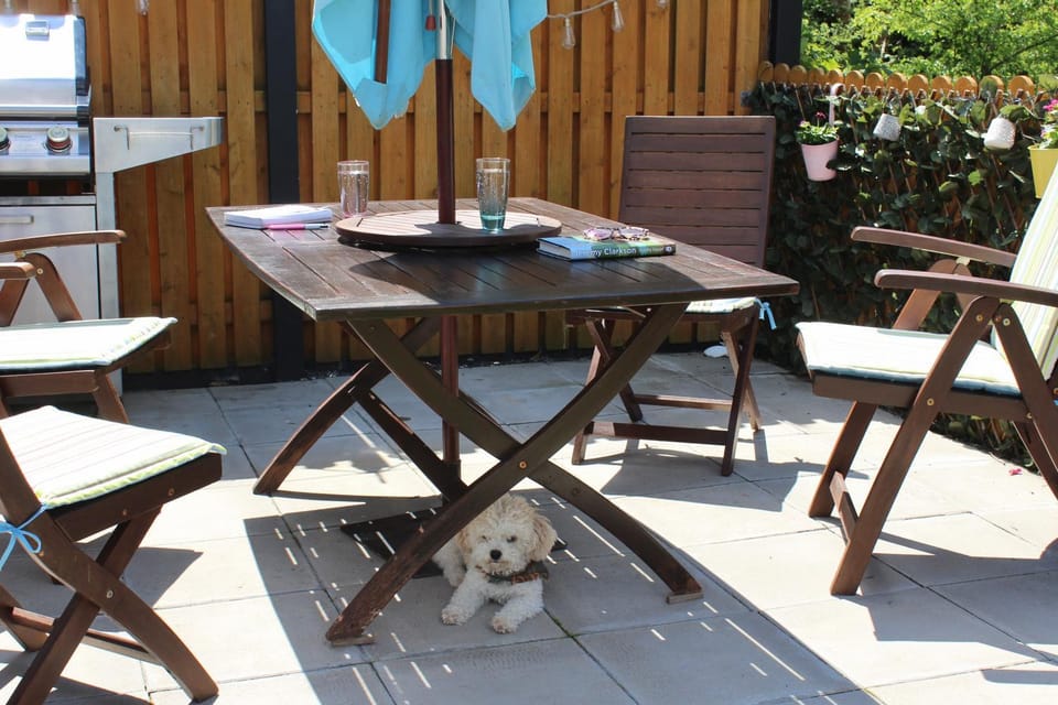 Garden, Balcony/Terrace, Pets, Garden view