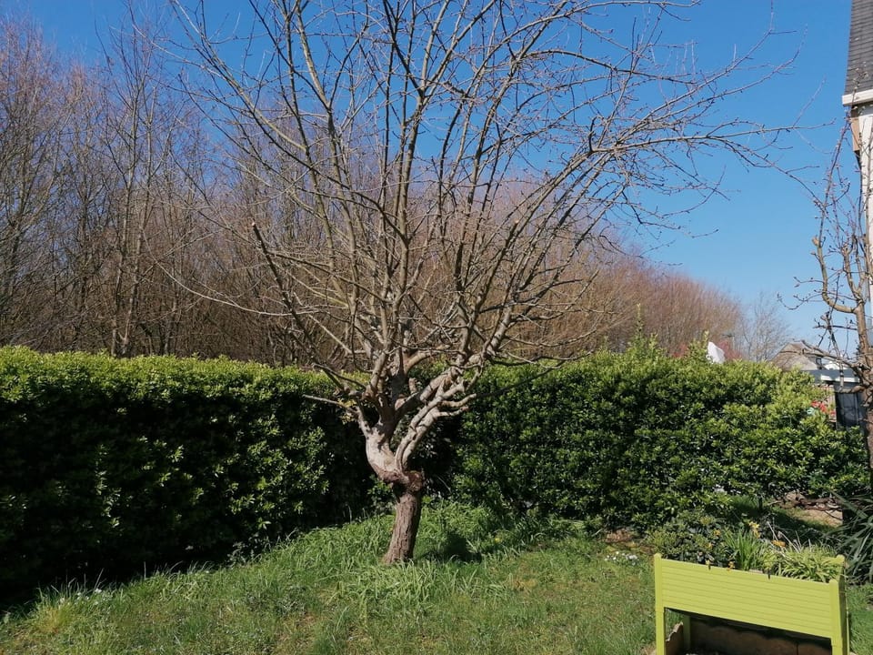 Garden, Garden