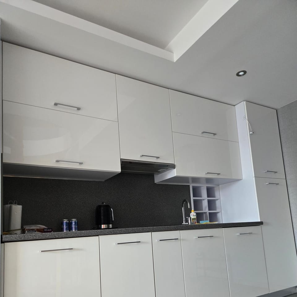 Kitchen or kitchenette, dishwasher, stove