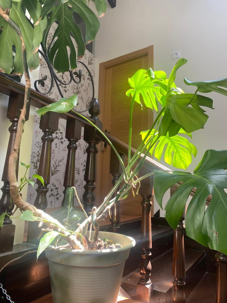 Alojamiento Rural Monterey Apartment in Western coast of Cantabria