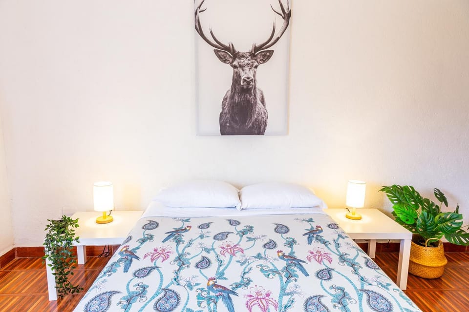 Bed, Photo of the whole room, Decorative detail, Bedroom