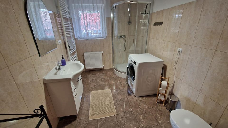 Shower, Toilet, Bathroom, laundry, washing machine