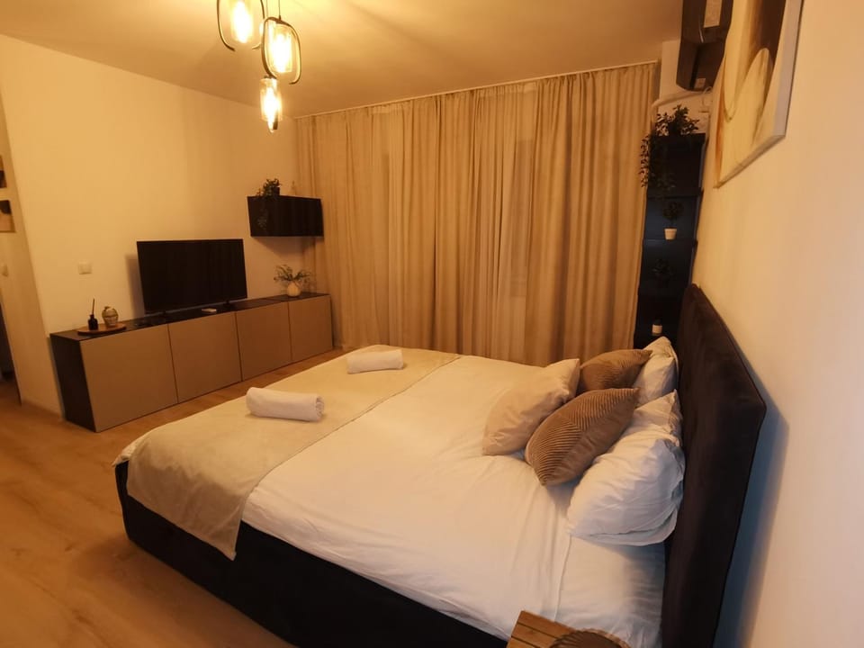 CC Accommodation Apartment in Romania