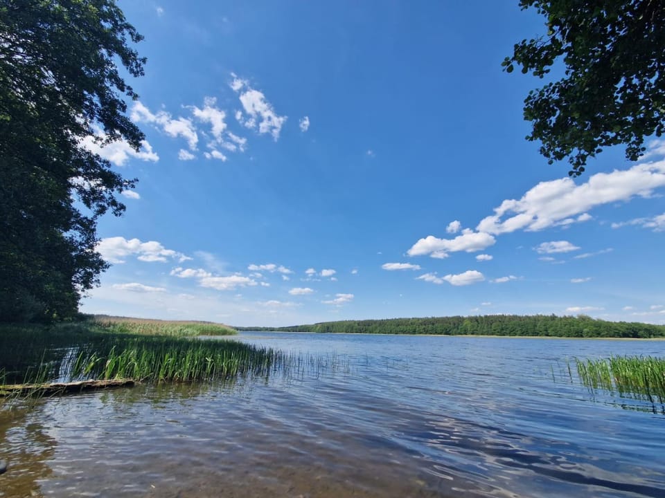 Sosnowa Odnowa - domek na Mazurach z sauną i balią House in Masovian Voivodeship