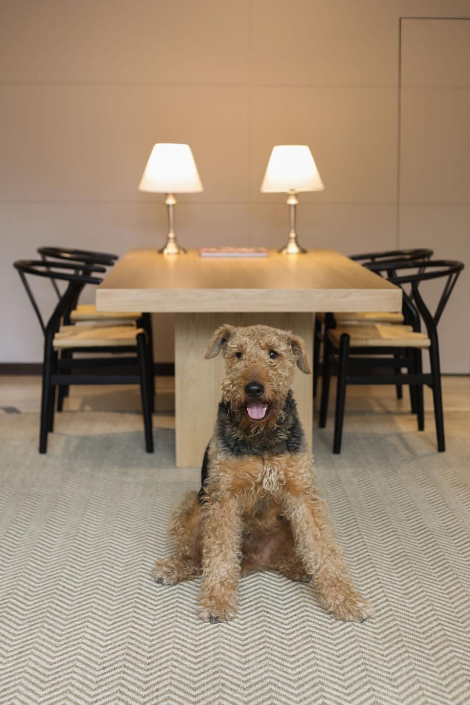 Seating area, On site, pet friendly