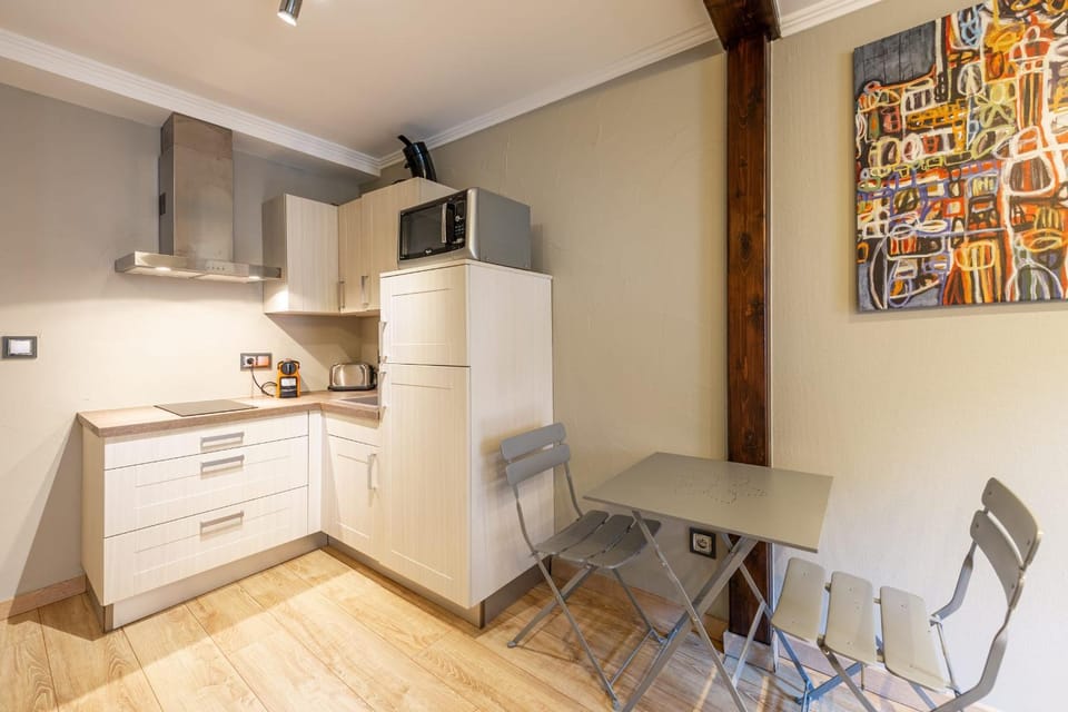 T2 coeur de vieille ville Apartment in Annecy
