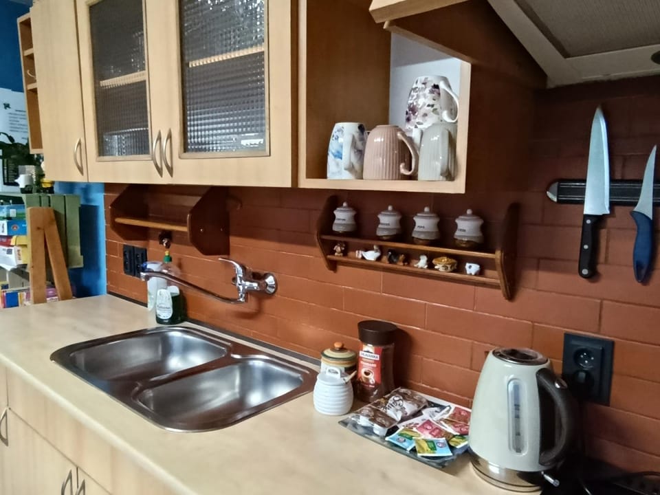 Apartmán U babičky Apartment in Czechia