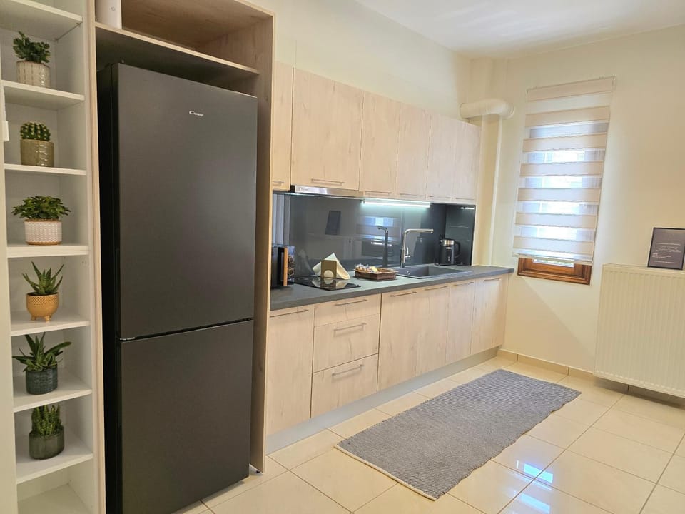 Kitchen or kitchenette, dishwasher, stove