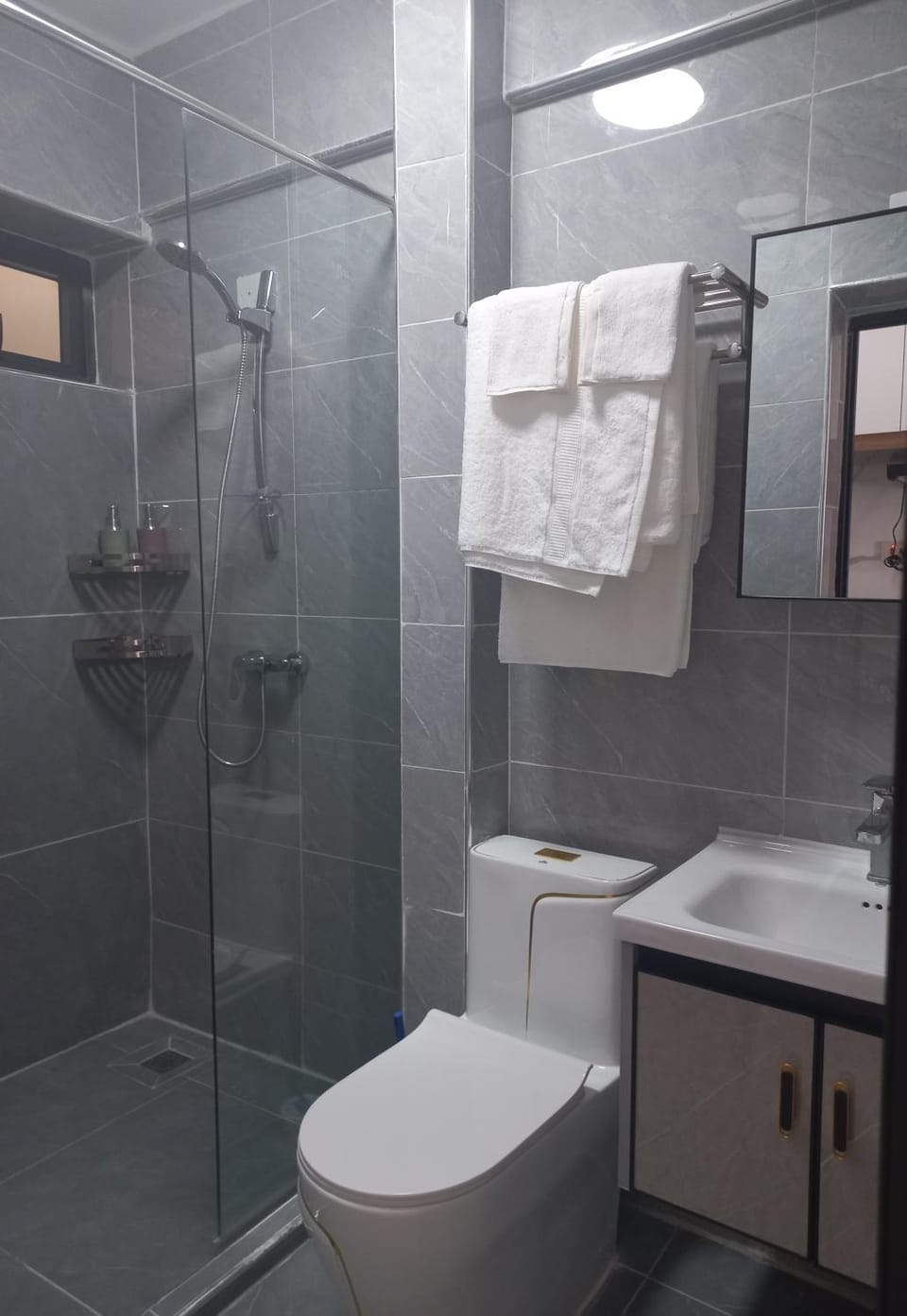 Toilet, towels