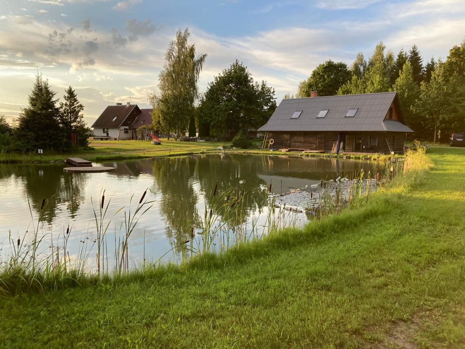 Lake view