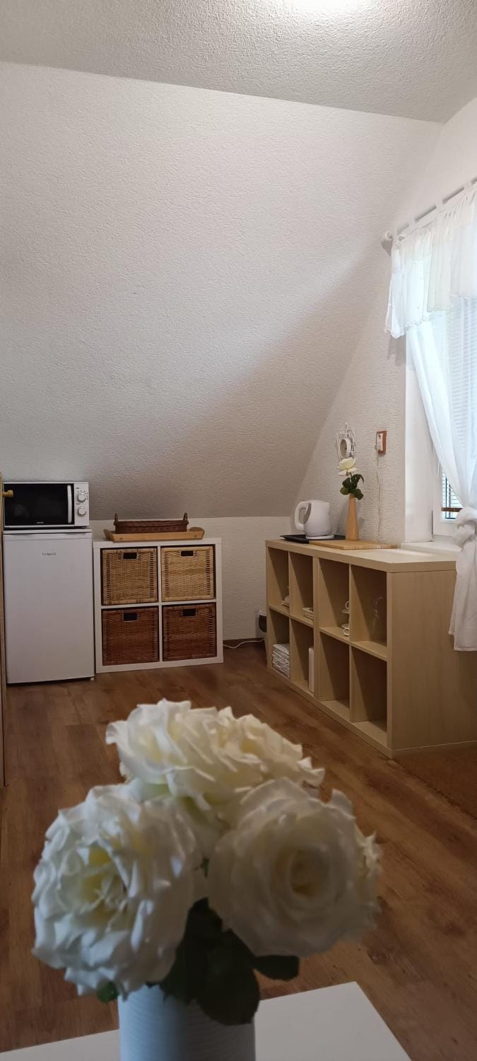 Apartmán nad vínnym sklepom Apartment in South Moravian Region