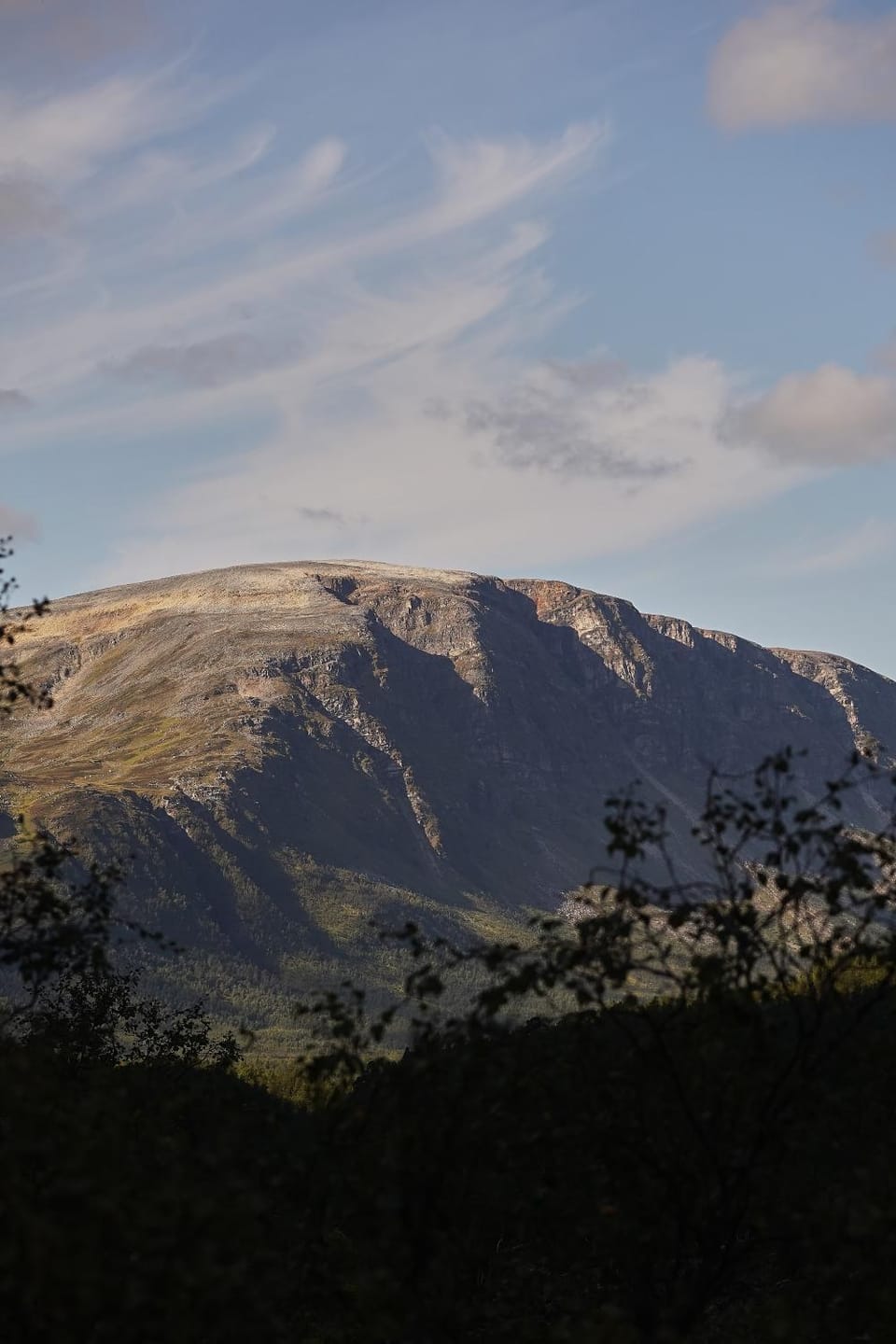 Natural landscape