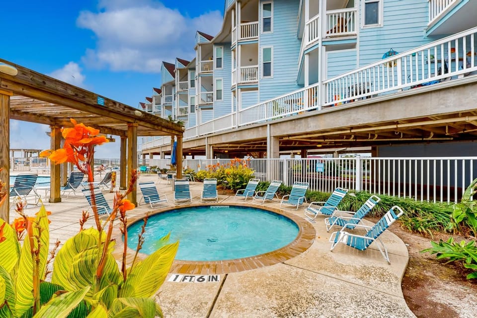 Curious Seagull Apartment in Galveston Island