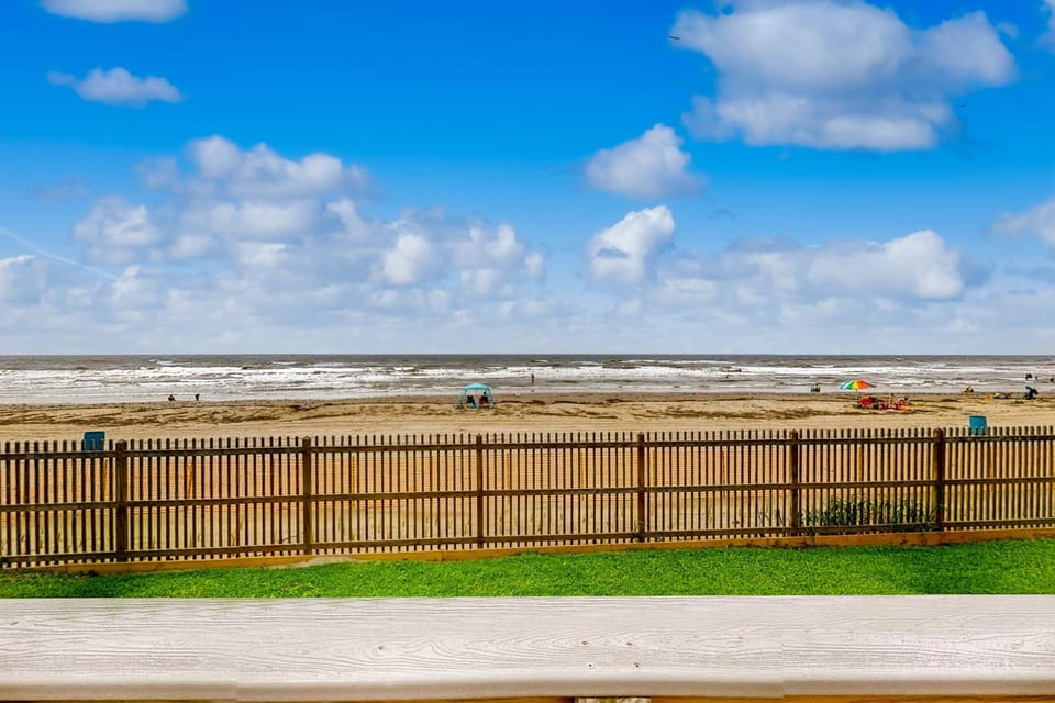 Curious Seagull Apartment in Galveston Island
