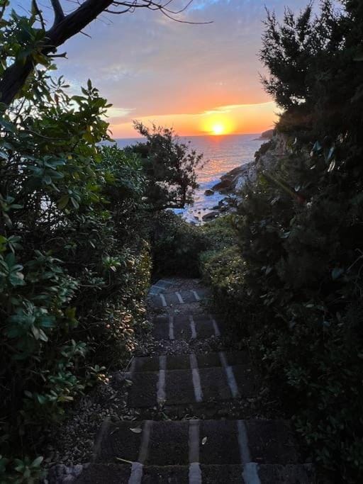 Natural landscape, Sunset