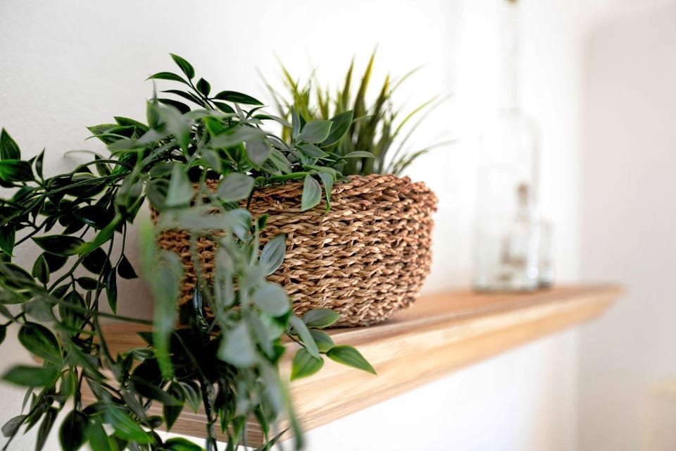 Erdgeschosswohnung Apartment in Schleswig-Holstein