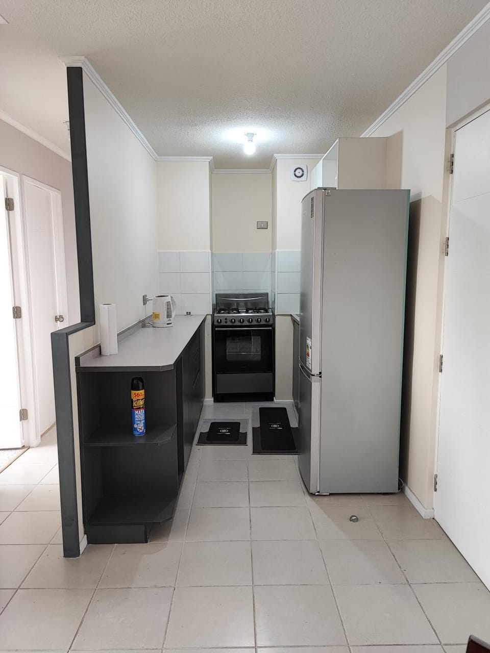 Kitchen or kitchenette, oven