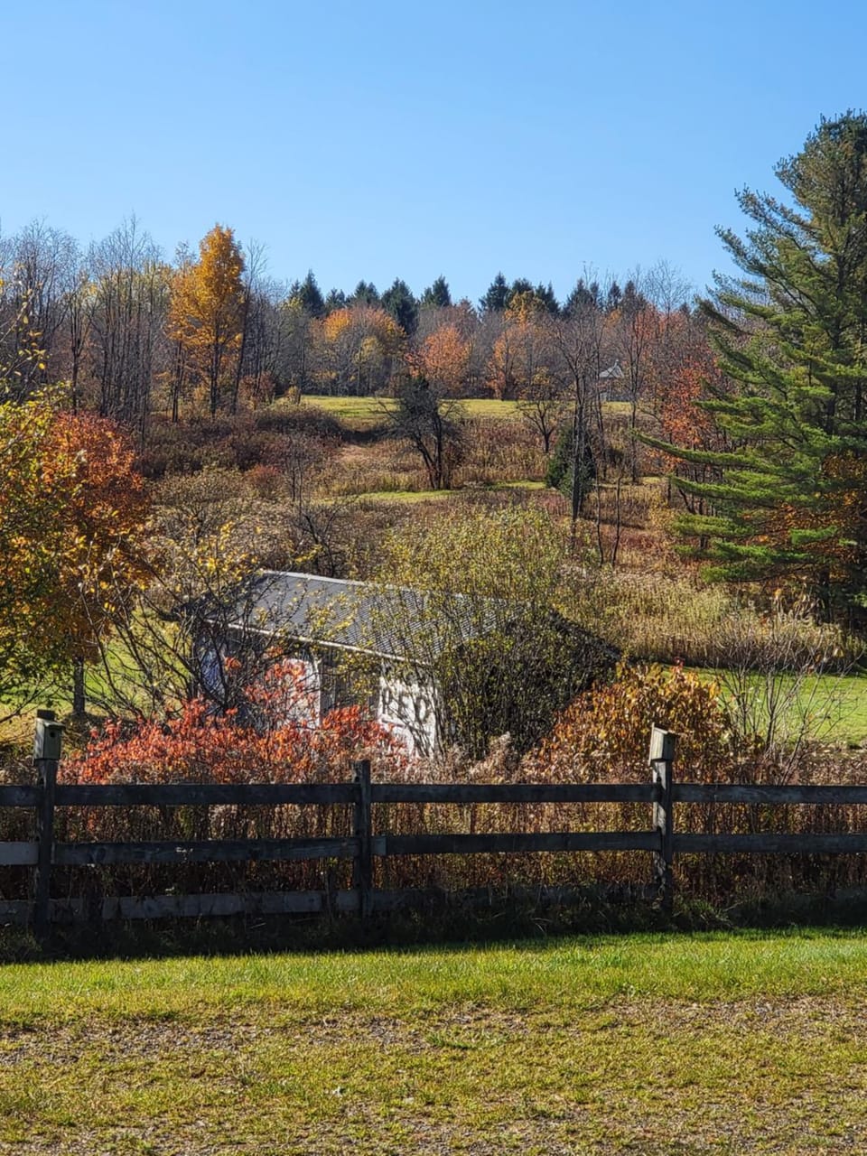 Natural landscape