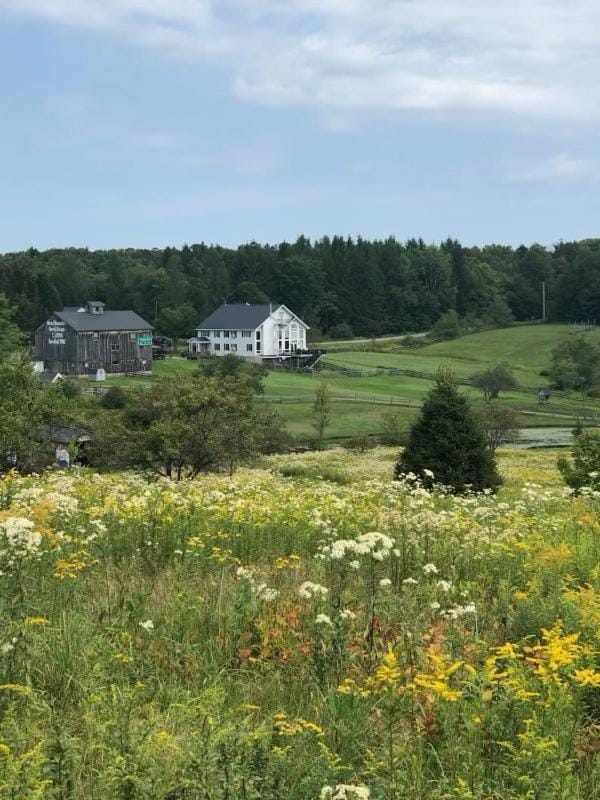 Day, Natural landscape