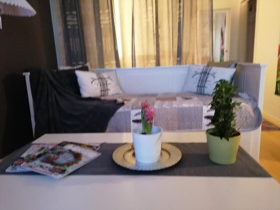 Cosy studio-apartment in the centre of Hudksvall #5 Apartment in Sweden
