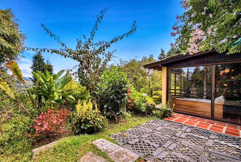Garden view