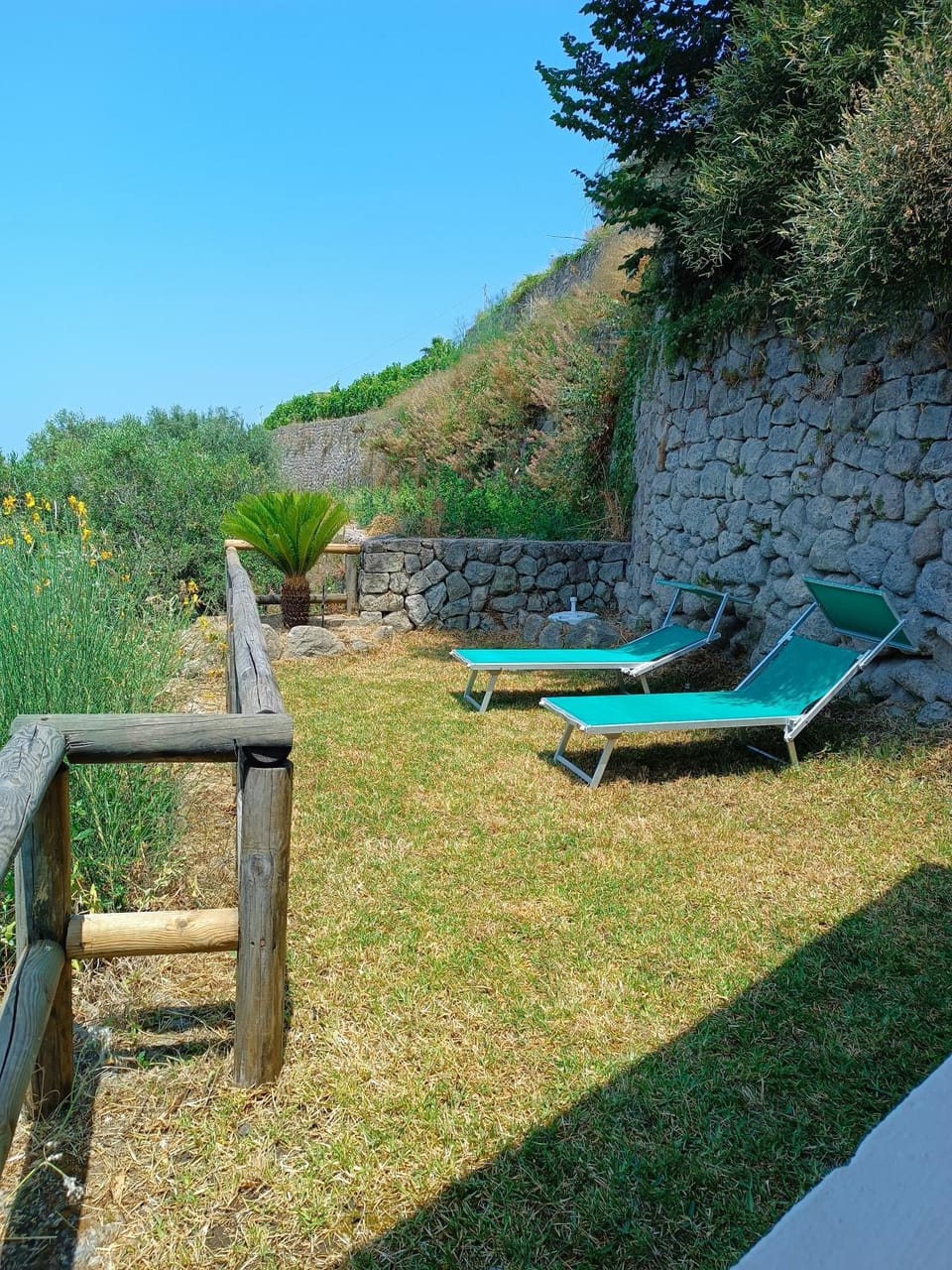 Spring, Day, Natural landscape, Garden, Garden view, sunbed