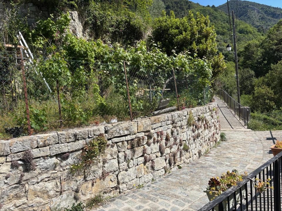 Vaste maison de famille entre forêt et rivière House in Provence-Alpes-Côte d'Azur