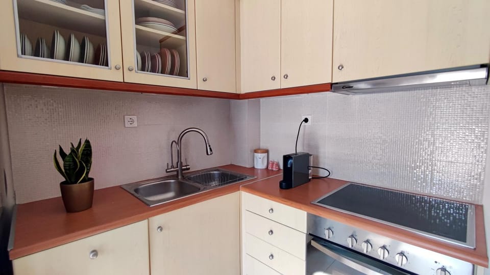 Kitchen or kitchenette, dishwasher, stove