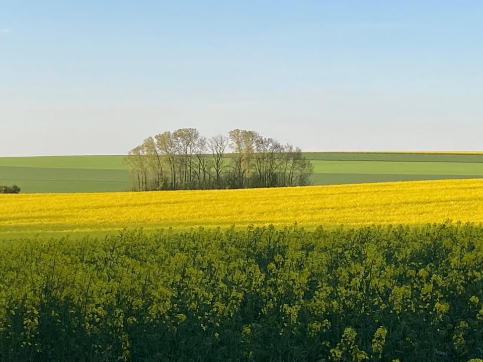Spring, Garden view