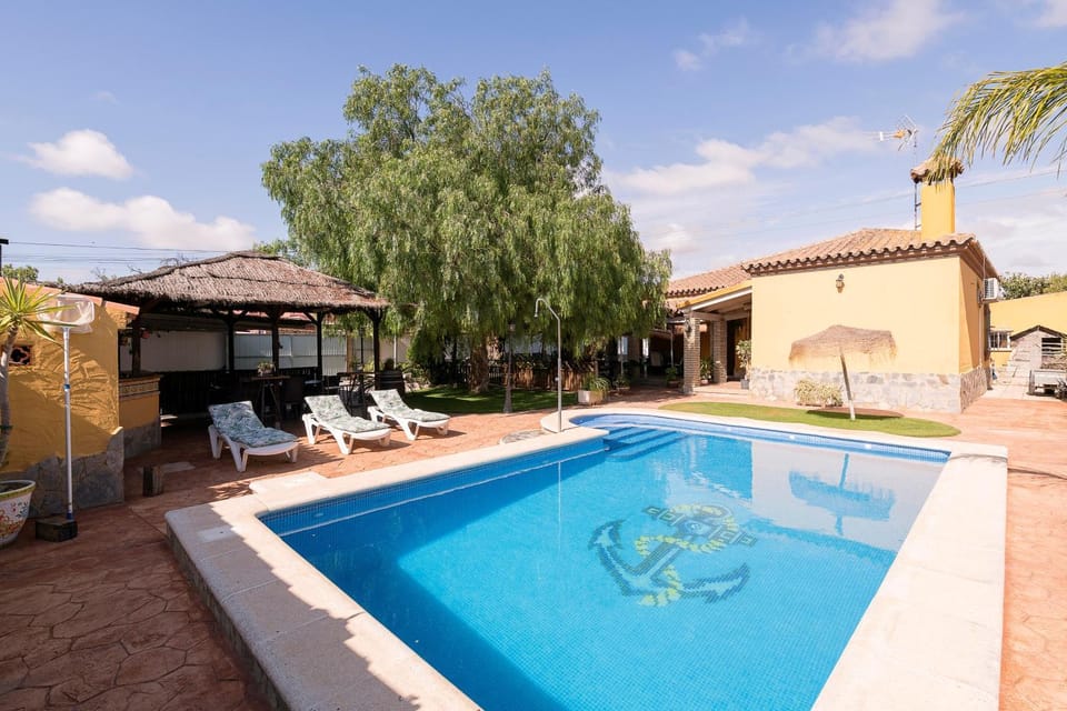 Swimming pool, sunbed