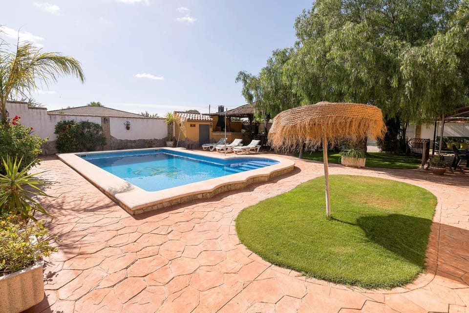 Garden, Swimming pool