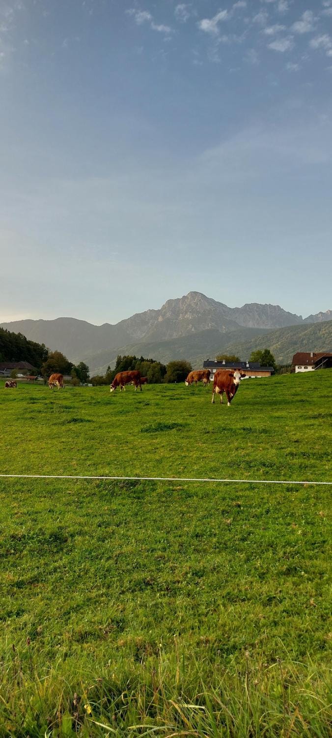 Barmbichlhof Farm Stay in Berchtesgadener Land
