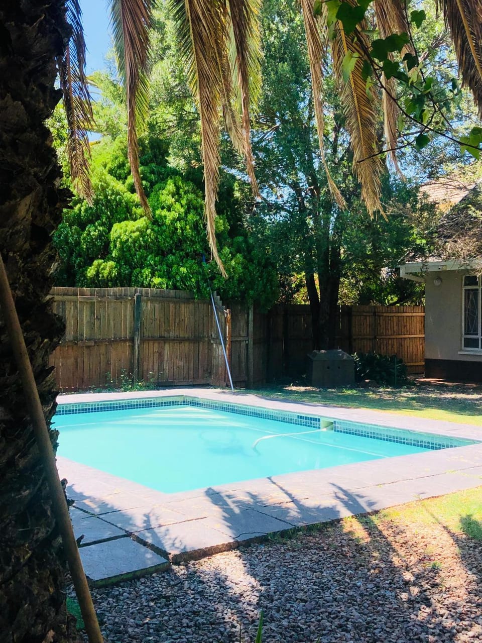 Swimming pool, Swimming pool